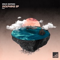 Dolphins - Single - Space Motion