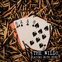 The Wild! - Playing With Fire