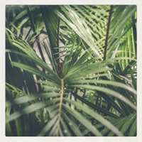 Your Life - Single - Taigo