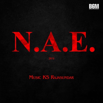 N.A.E  Original soundtrack  2019