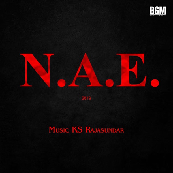 N.A.E Original soundtrack 2019
