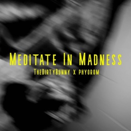 Meditate in Madness (feat. Phyorom) TheDirtyBunny
