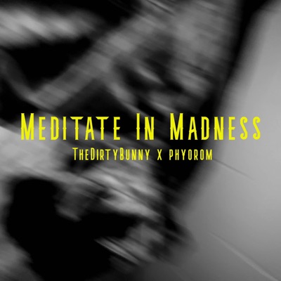 Meditate in Madness (feat. Phyorom) - Single