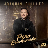 Pero Enamorado - Joaquin Guiller