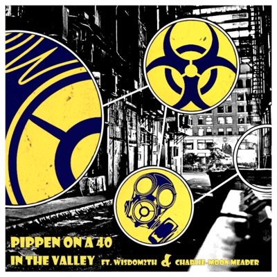 In the Valley (feat. Sipn MC, Analog, Wisdom2th & Charlie-Moon Meader) - Single