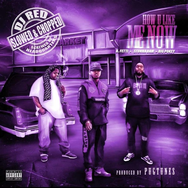 How U Like Me Now (feat. Stunna Bam & Big Pokey) [Slowed & Chopped] [Chopped]