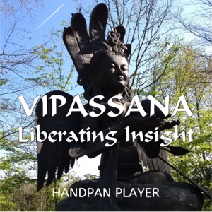 Vipassana Liberating Insight - Single