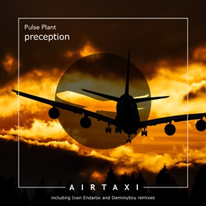 Perception - Single