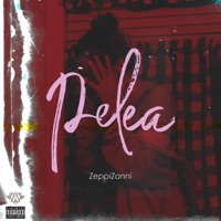 PELEA - Single - Zeppi Zanni