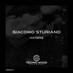 Haters - Single