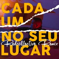 Cada Um No Seu Lugar (Redcollective Remix) - Single - Virgul