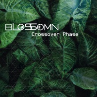 Crossover Phase - Blossomn