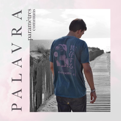 Paramètres Communs - Single