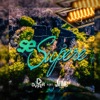 Se Supere (feat. Jane) - Single