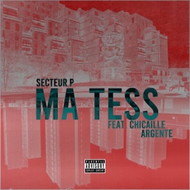 Ma Tess Chicaille Argenté & Secteur P