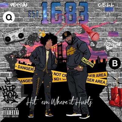 Hit Em Where It Hurts (feat. Pettyy) - Single