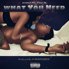 What You Need (feat. Tigo B) KNIMO