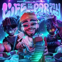 Life of the Party (feat. Bad Neighbors) - Single - Brandon Gomes