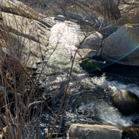 JazzHop - Single - Scottydub