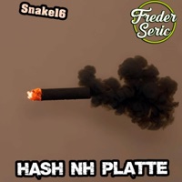 HASH NH PLATTE (feat. Freder Seric & Jiggo2027) - Single - TechnoFetzer & Snake16