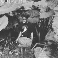 聆聽 Waavykg、觀看音樂影片、閱讀小傳、查看巡演日期等！