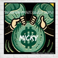 Micky (feat. Blaze Dbfl) - Single - Yung Mic