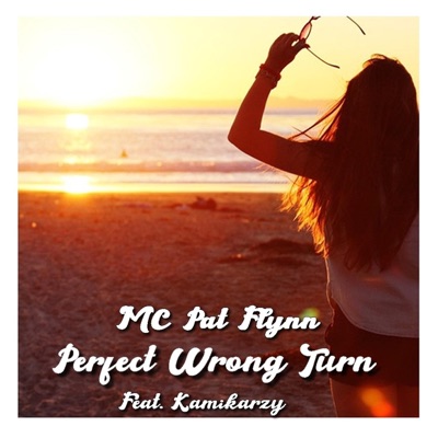 Perfect Wrong Turn (feat. Kamikarzy) - Single