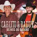 Lembrando Você