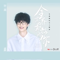 全世界最好的你 (電視劇《全世界最好的你》同名主題曲) - Single - Vae Xu