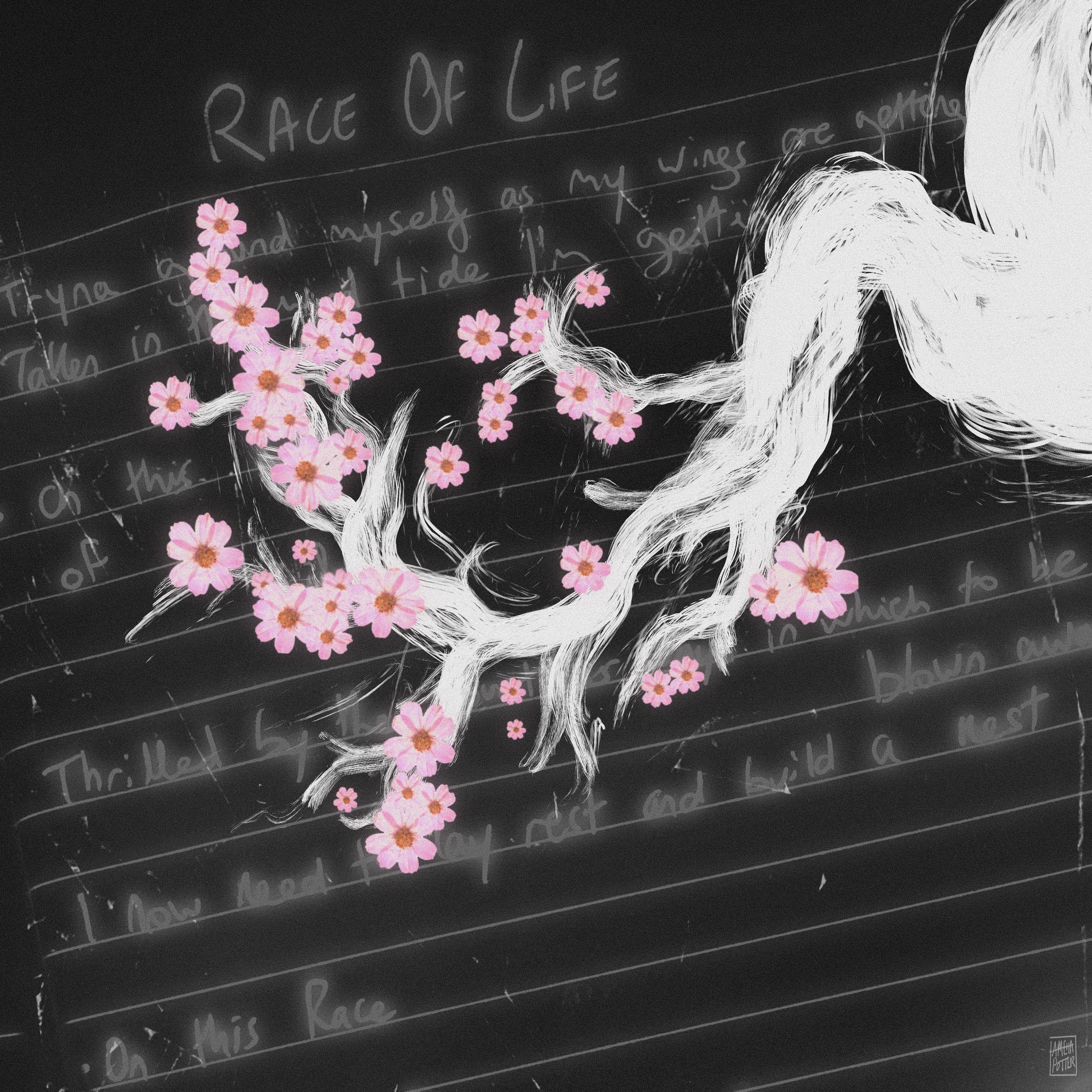 Race of Life - Single