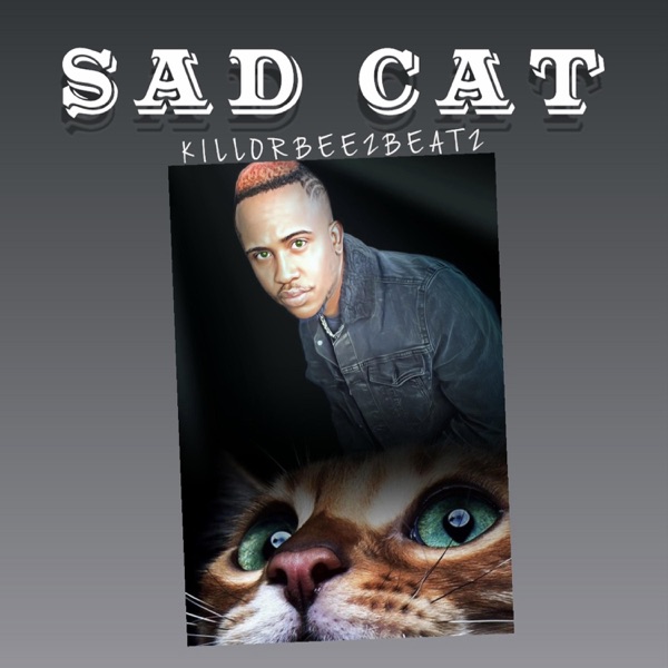 Sad Cat