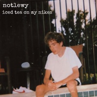 Iced Tea on My Nikes - Single - NotLewy