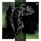 Million Faces (feat. Voza) - Carlo Whale lyrics