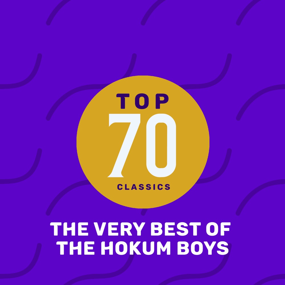Обложка альбома «Top 65 Classics - The Very Best of the Hokum Boys» — The Hokum Boys