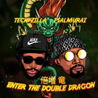 Enter the Double Dragon - Single - Teck Zilla & Psalmurai