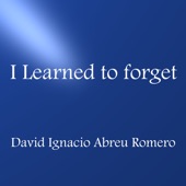 David Ignacio Abreu Romero - I learned to forget (Instrumental Version)