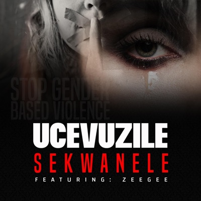 Sekwanele (feat. Zeegee) - Single