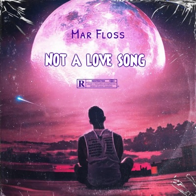 Not a Love Song - Single