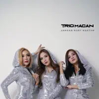 Jangan Nget Ngetan — Trio Macan