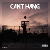 Can't Hang (feat. Raw Jaw & Jazba) - Single - A'niche