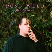 Brad stank - Pond Weed