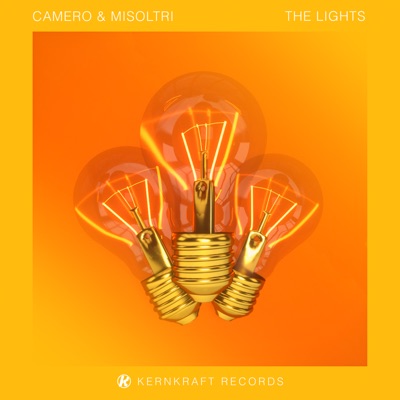 The Lights - Single