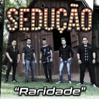 Raridade (feat. Jonathan Pacheco) - Single - Sedução de Blumenau