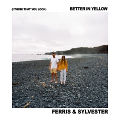 (I Think That You Look) Better In Yellow - Single