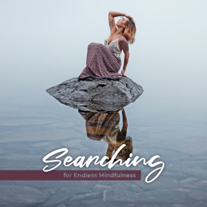 Searching for Endless Mindfulness