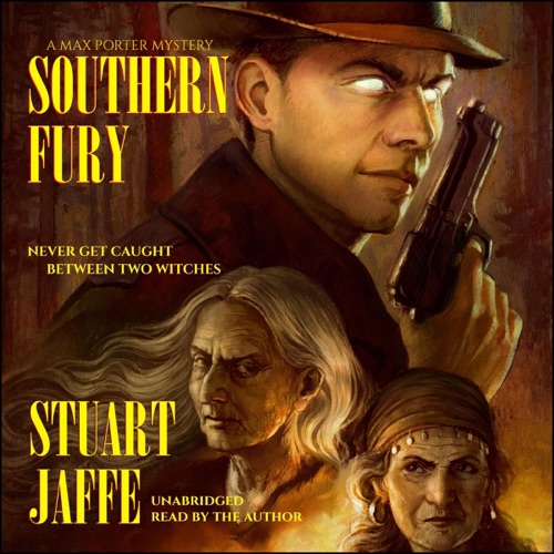 Southern Fury: Max Porter Mysteries, Book 11 (Unabridged) cover