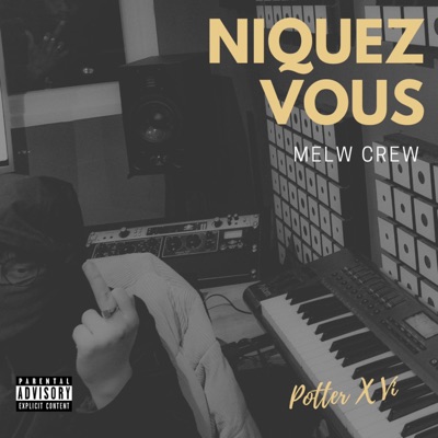 Niquez vous (feat. Potter & Vi) - Single