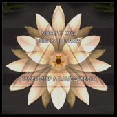 Here in the Now (feat. Temple Step & DJ Lo Qi) [Remix]