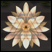 Here in the Now (feat. Temple Step & DJ Lo Qi) [Remix] - Murray Kyle