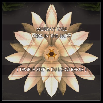 Here in the Now (feat. Temple Step & DJ Lo Qi) [Remix] - Single